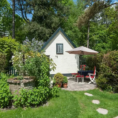 Pleasing Holiday Home In Schoorl With Patio Schoorl
