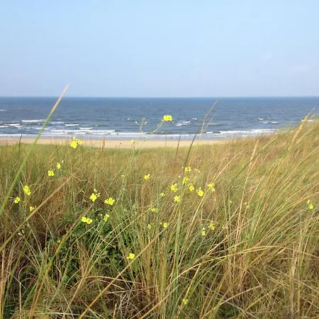 Ferienhaus Pleasing Holiday Home In Schoorl With Patio