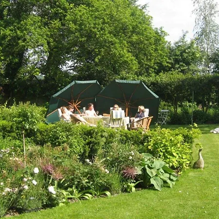 Pleasing Holiday Home In Schoorl With Patio Ferienhaus Schoorl
