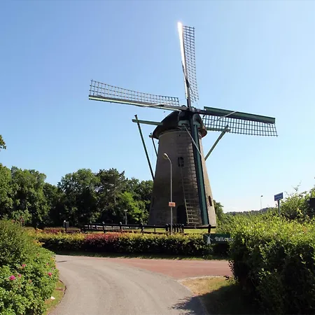 Pleasing Holiday Home In Schoorl With Patio